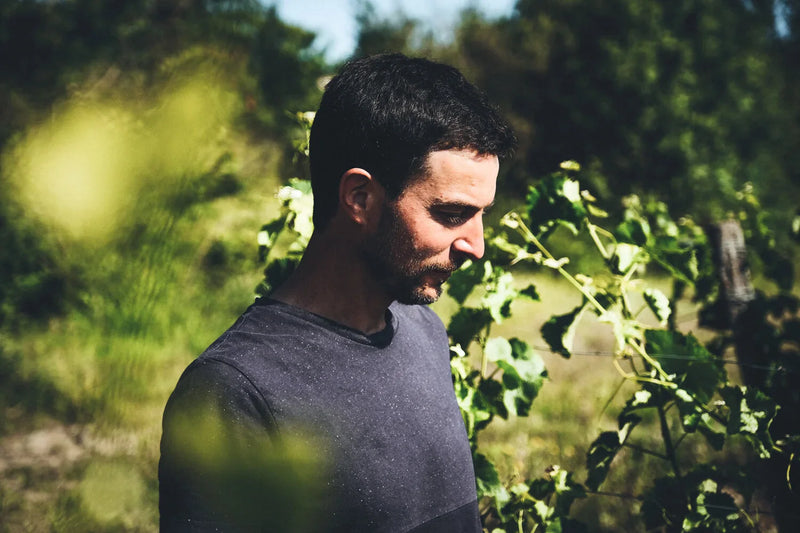 Domaine de Brin