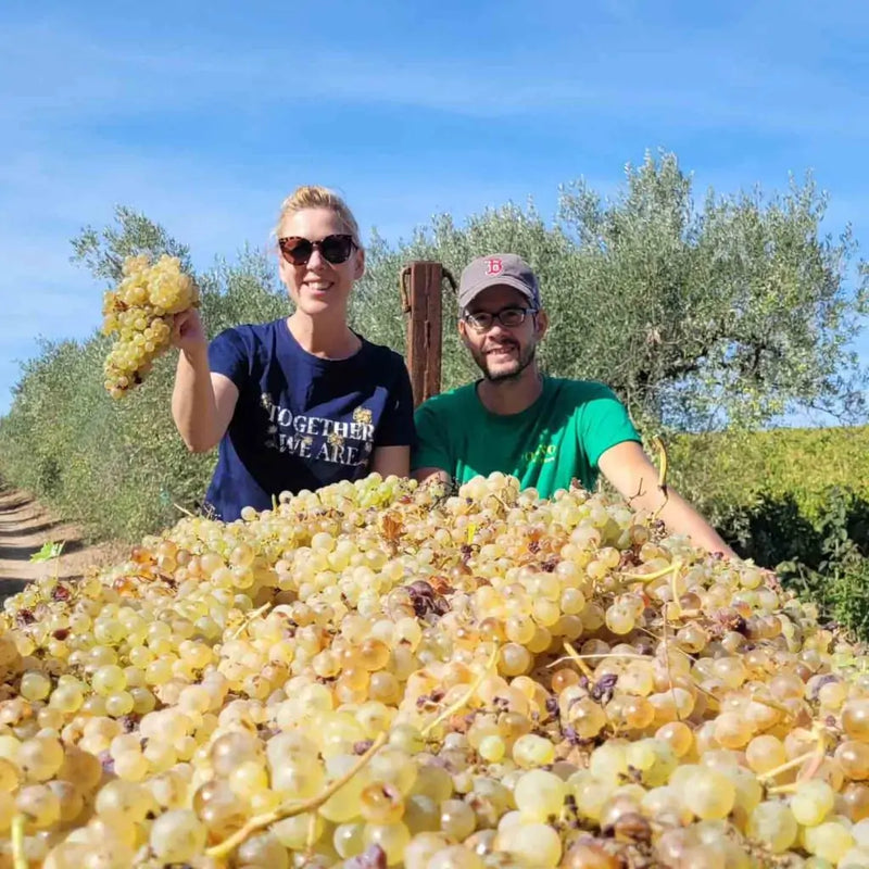 Domaine Ampelhus