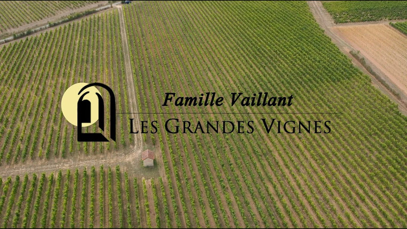 Domaine Les Grandes Vignes