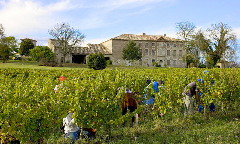 Domaine Plageoles