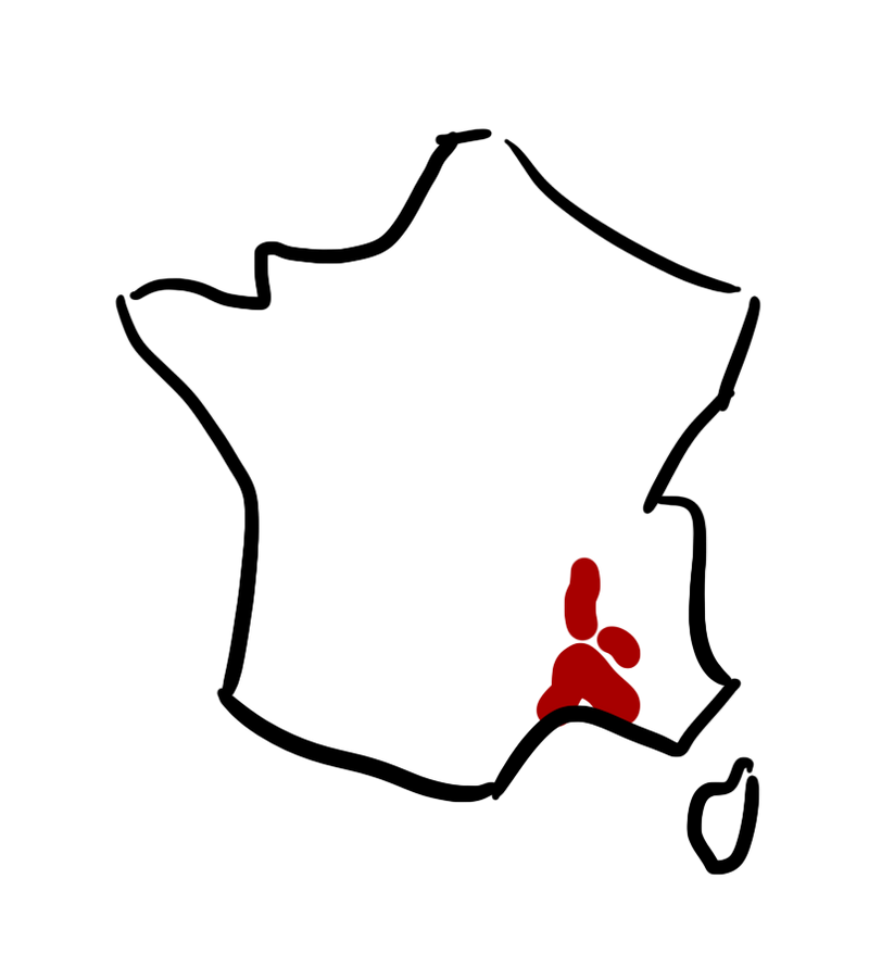 Région Vallée du Rhône