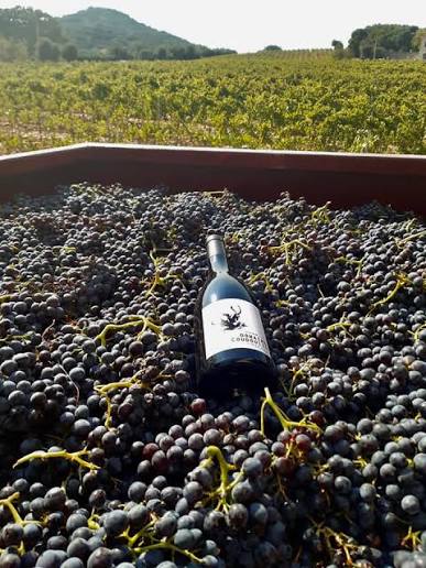 Domaine Coudoulis