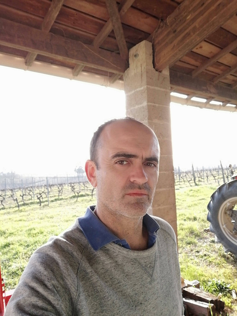 Chateau Lagrange