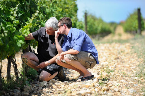 Mas Baux : Serge Baux, vigneron reconverti à Perpignan