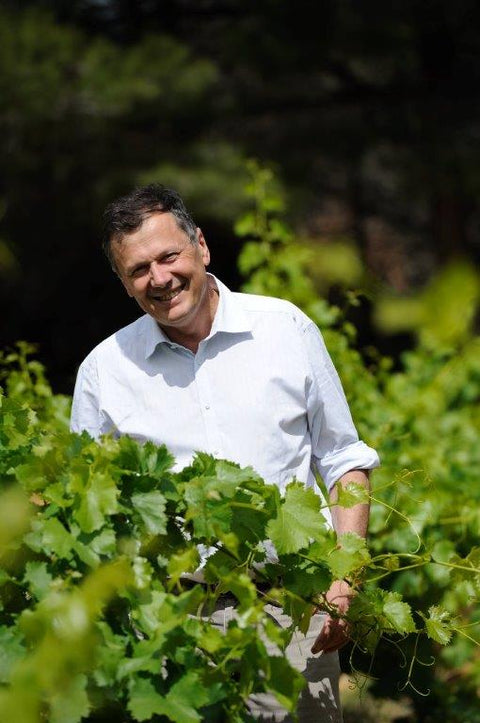 A l’occasion du #LanguedocDay, découvrons les vins du Château de Luc !