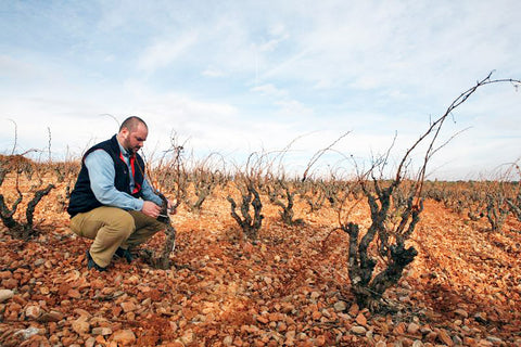 Thomas Teibert fait un Morgon du Roussillon