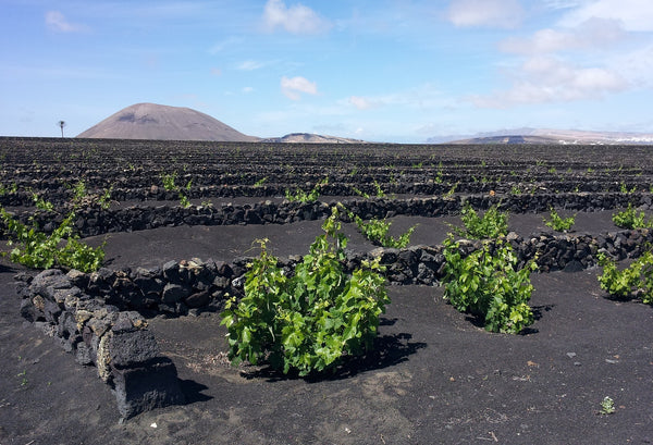 Le top 5 des domaines les plus insolites