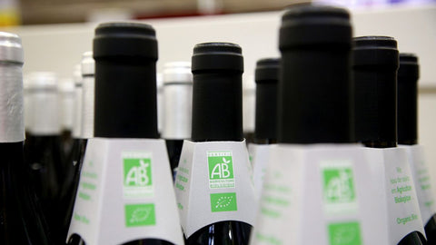 La tendance du bio dans la production française du vin