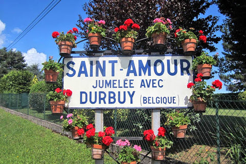 À la découverte de l’AOC Saint-Amour