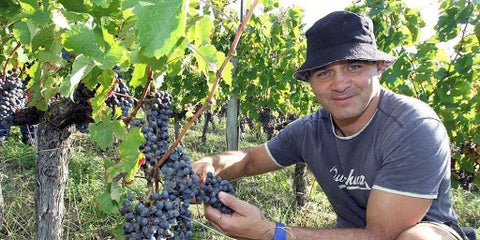 TOP 5 des rugbymen devenus vignerons