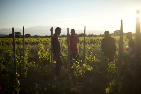 Zoom sur Wine Calling