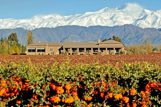 Vins d'Argentine : route des Andes et terroirs d'altitude