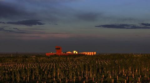Zoom sur le Xinjiang, vignoble chinois - Oenotourisme Monde