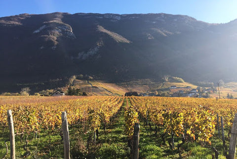 Carnet de route des vins : La Savoie — Savoie