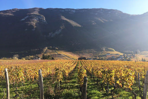 Carnet de route des vins : La Savoie