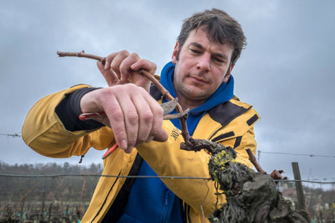 Portrait de Jean-Yves Bardin, Photographe des vignerons