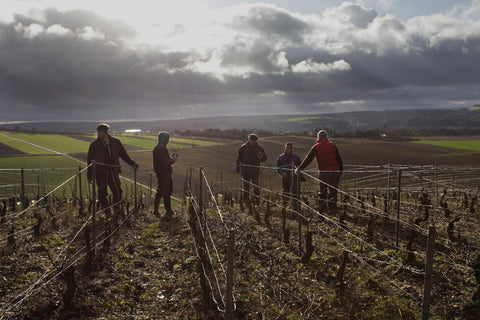 A la rencontre de nos vignerons – Dominique Gruhier en Bourgogne