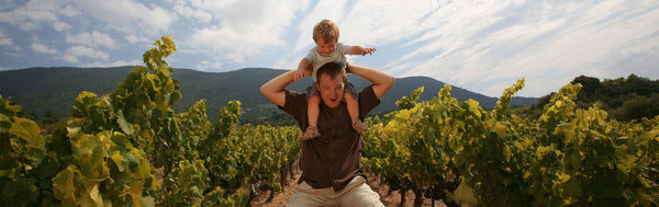 4 raisons de faire de l'oenotourisme dans son domaine