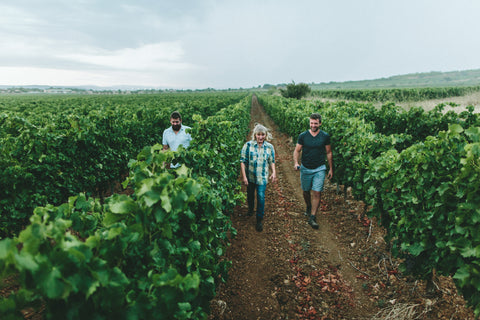 5 choses à savoir sur l’oenotourisme en France