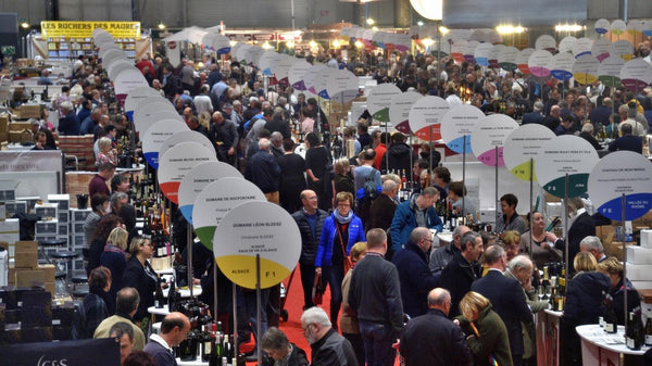 The Global Wine Market
