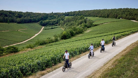 Oenotourisme : quelles activités proposer dans son domaine ?