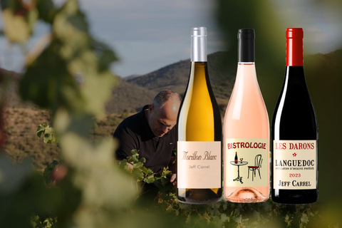 Jeff Carrel's Wines: Discover His Collections and Must-Try Wines