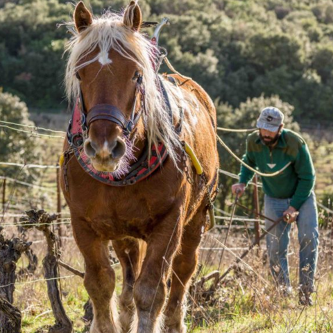 Les méthodes traditionnelles : nouvelle mise à jour