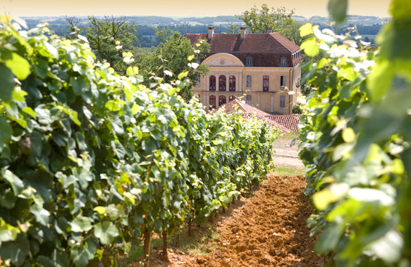 Alain Brumont revived the Madiran appellation