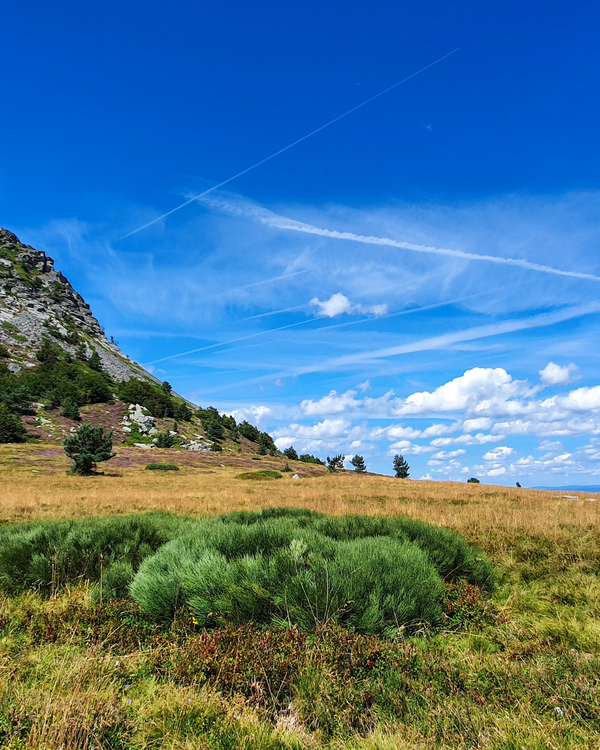 Vignobles du Sud Ardèche : voyage au cœur du terroir