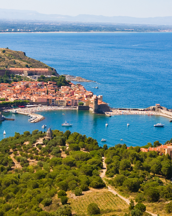 Banyuls : un vin unique dans un climat méditerranéen unique