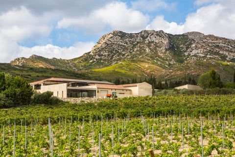 Domaine Vallon des Glauges : jeunes vignerons en Provence