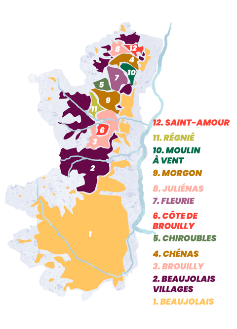 Zoom sur les 12 appellations du Beaujolais