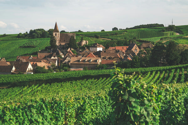 Stephane Yerle: "Natural wine isn't about innovation, it's... a vintage trend."