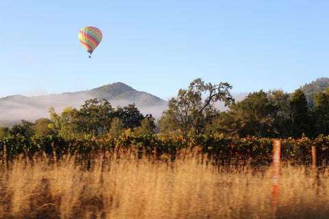 Toutes les routes mènent à la Napa Valley