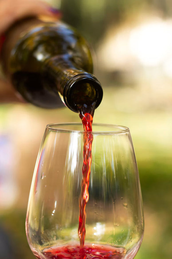 Bordeaux Wines: The Complete Guide to Choosing the Right Ones