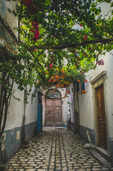 De la Tunisie aux Grands Crus du Médoc