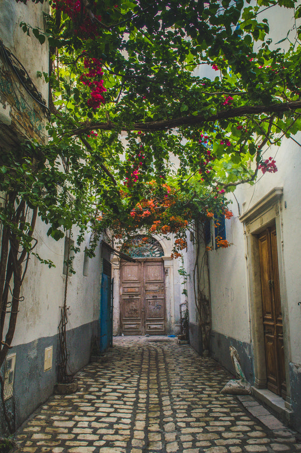From Tunisia to the Grands Crus of the Médoc