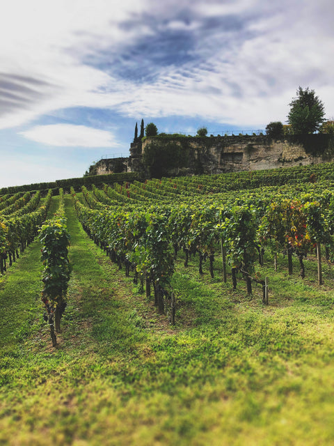 Sud-Ouest : le Tour de France côté vins