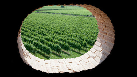 La route des caves de Vénétie