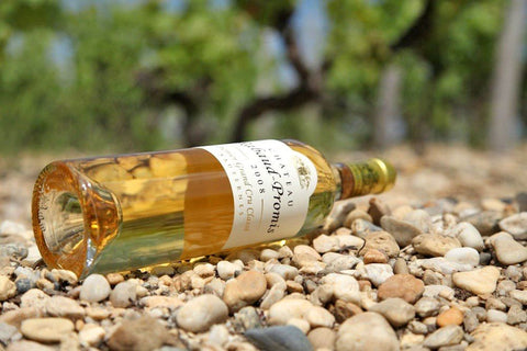 Les vins de Sauternes : « L’extravagance du superbe »