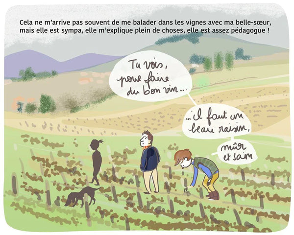 Top 5 des BD vin