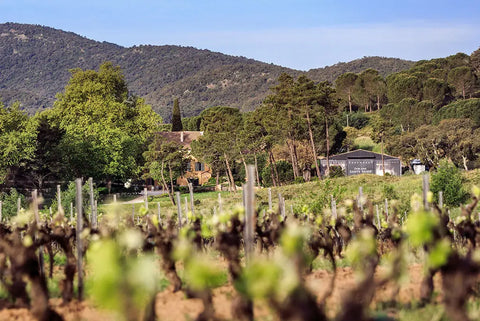Le domaine Sainte Marie : L’aventure du rosé en Provence