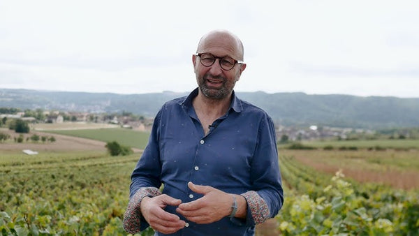Meeting our winemakers – Dominique Gruhier in Burgundy