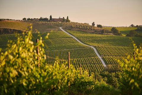 Le système français d'appellation des vins
