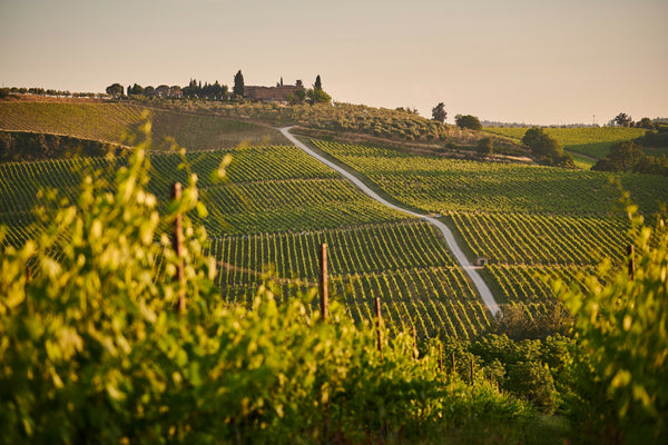 Le système français d'appellation des vins