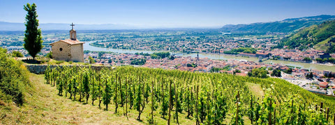 Les rencontres vigneronnes de Condrieu et Côte-Rôtie !