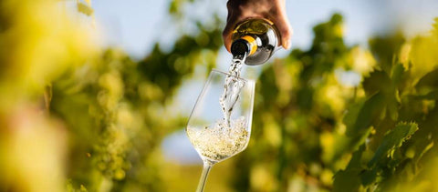 Les 10 (fausses) idées reçues à propos du vin