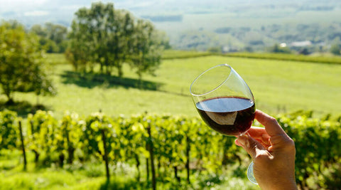 5 choses à savoir sur l’oenotourisme en France