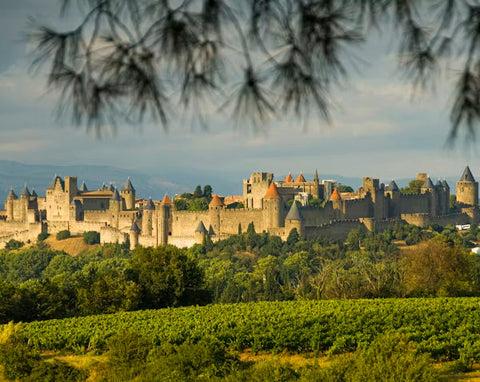 Carcassonne-Montpellier : le Tour de France côté vins
