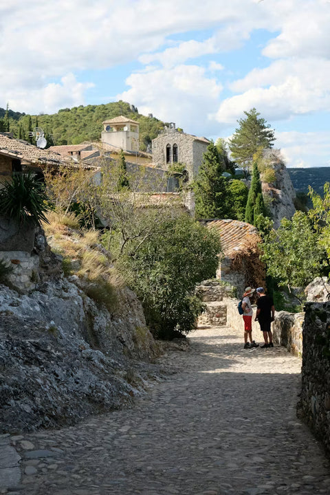 Vignoble Sud Ardèche : entre vin et eau (vidéo)